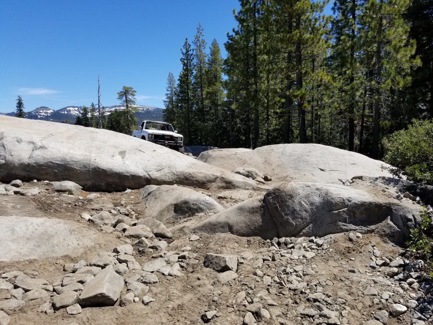 Rubicon june 2019