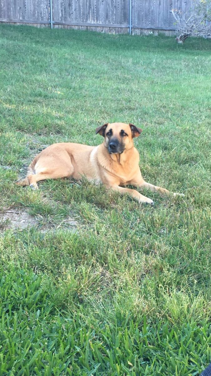 Sadie