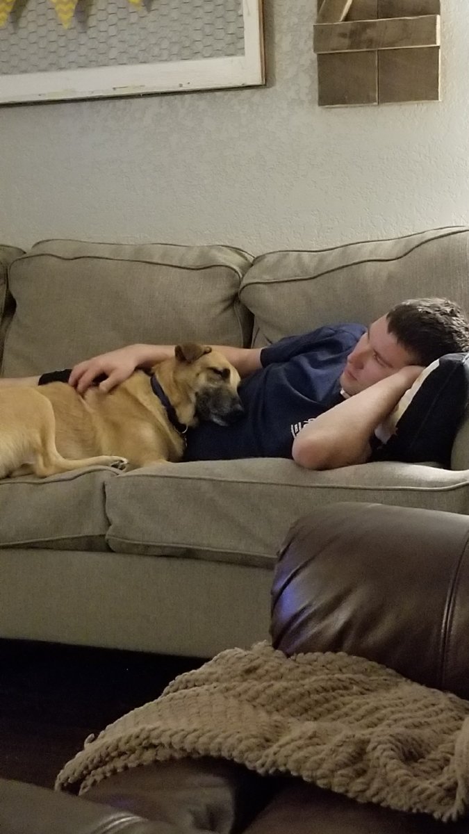 Sadie