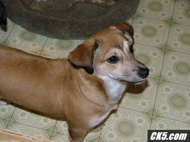 Sammy