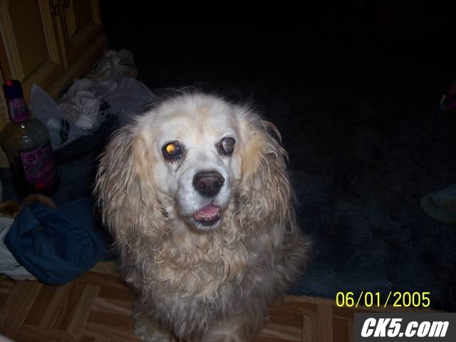 sandy