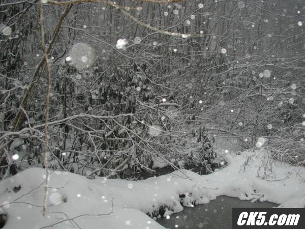 Scenery_Shot_8_2001