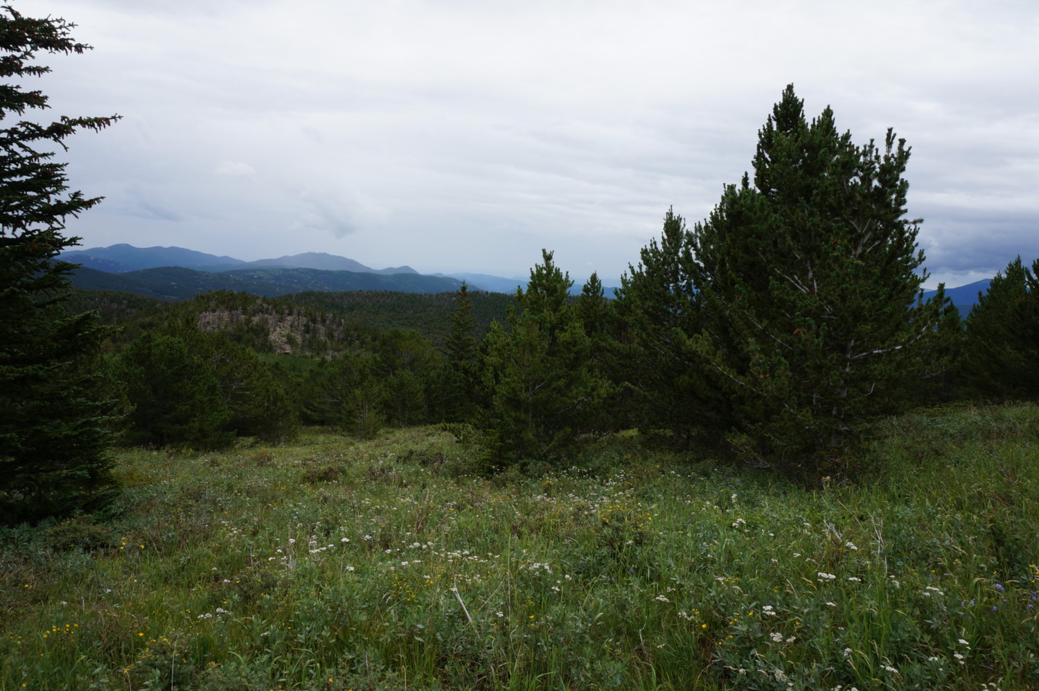 scenic view