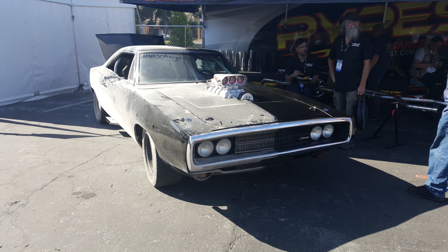 Sema 19