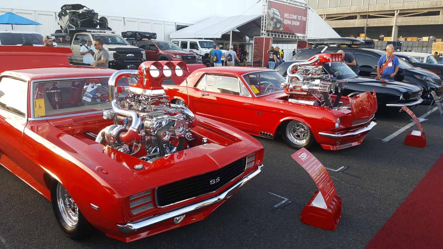 Sema 79