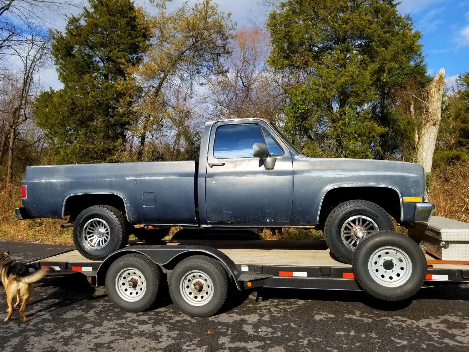 Shauns k10