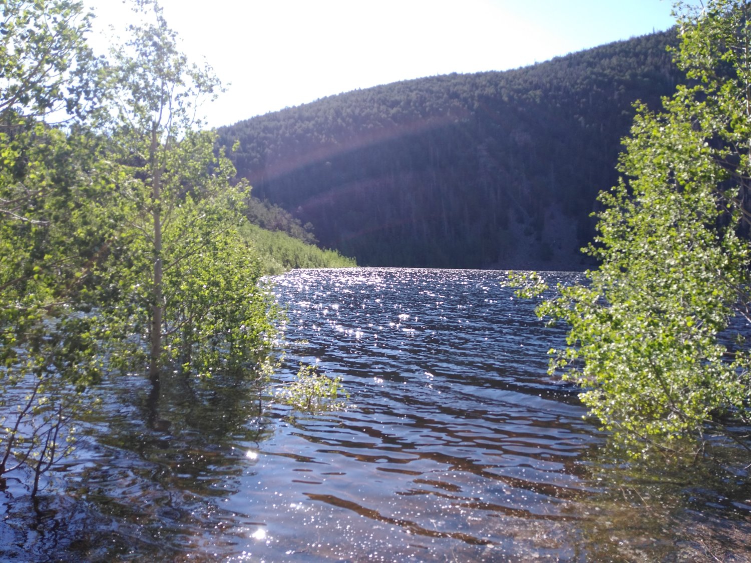 Shoreline