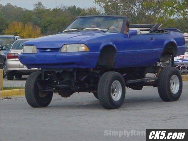 simplyrandom310