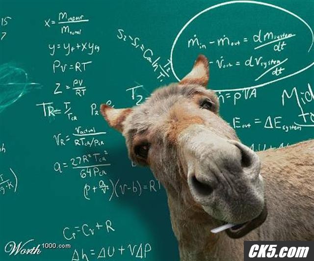 Smart_ass_Small_