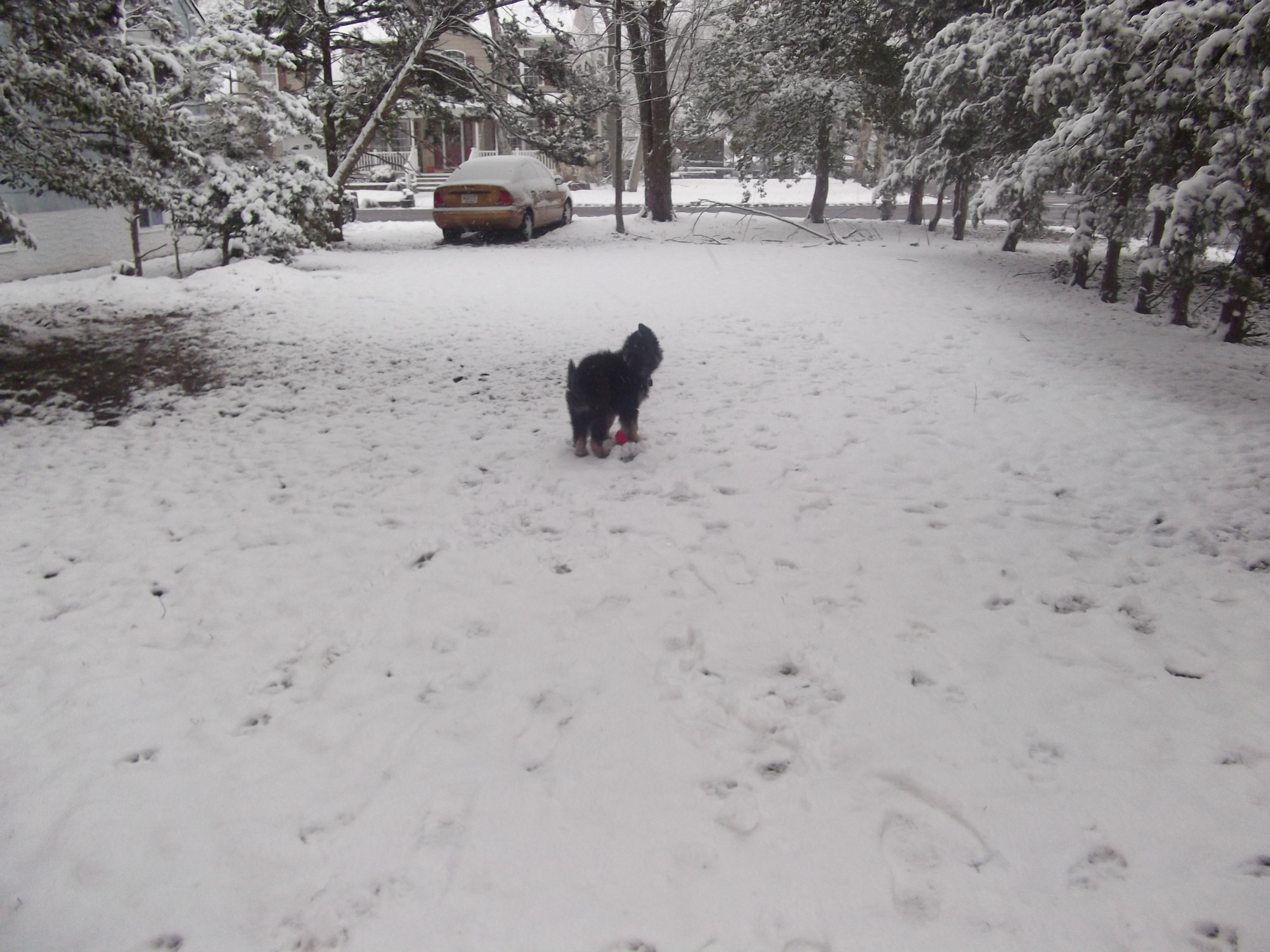snow2