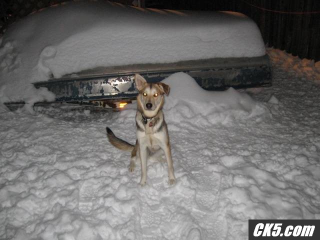 snow_ck5_007