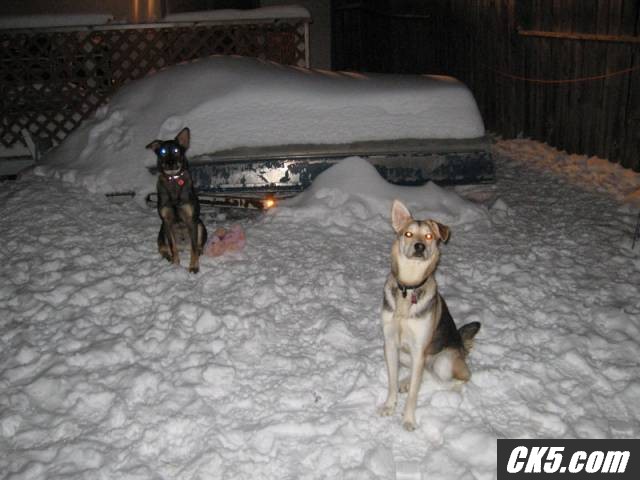 snow_ck5_008