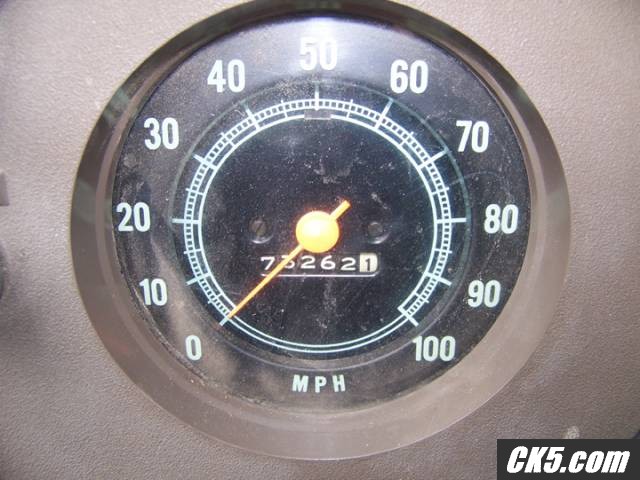 speedo