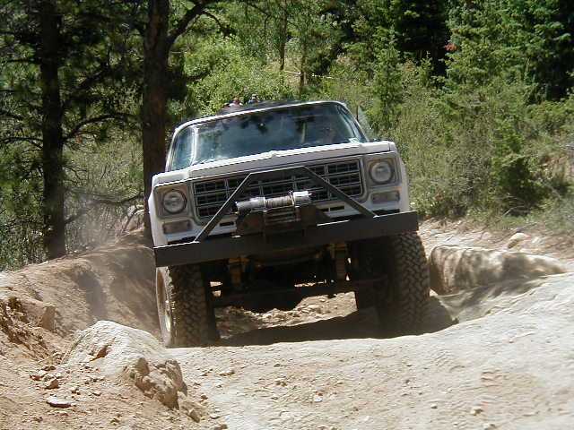 Spring Creek 12