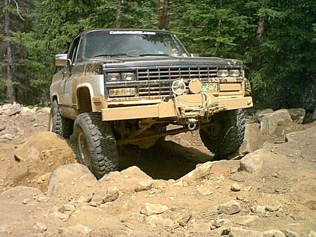 Spring Creek 29
