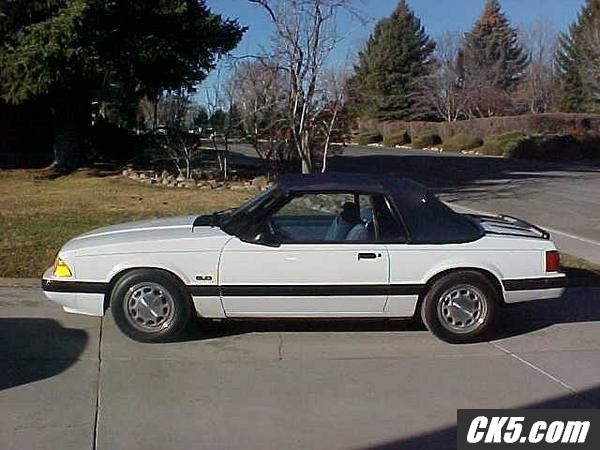 Stang 1