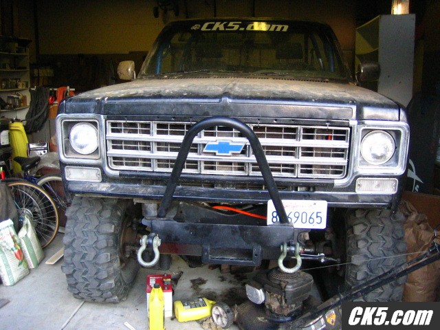 stinger