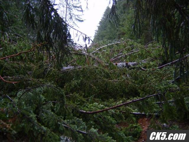Storm damage