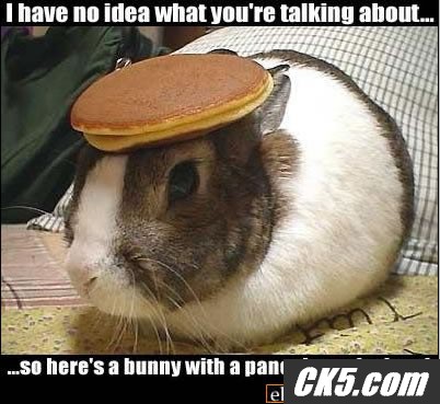 t_know_what_your_talking_about