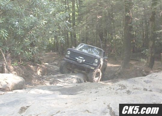 Tellico Fun