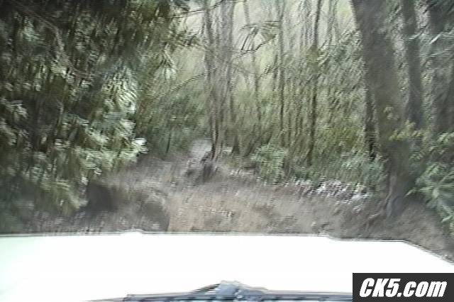 Tellico_3