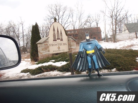 The Bat