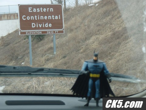 The Bat