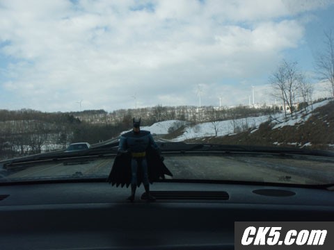The Bat