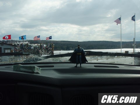The Bat