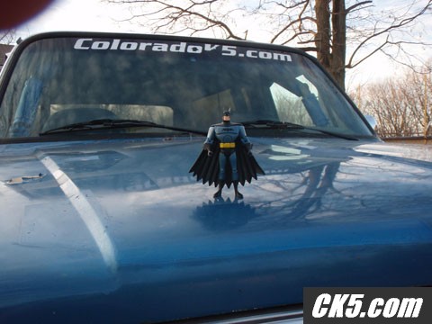 The Bat