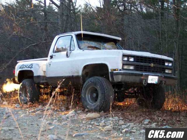 The Beast