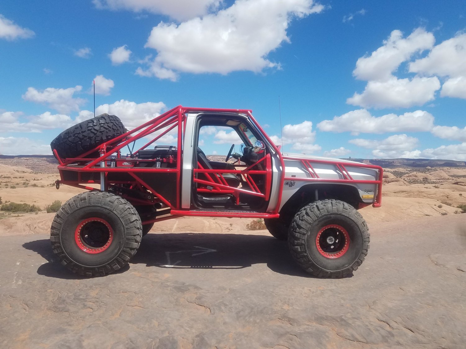 the mule