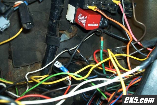 the rats nest