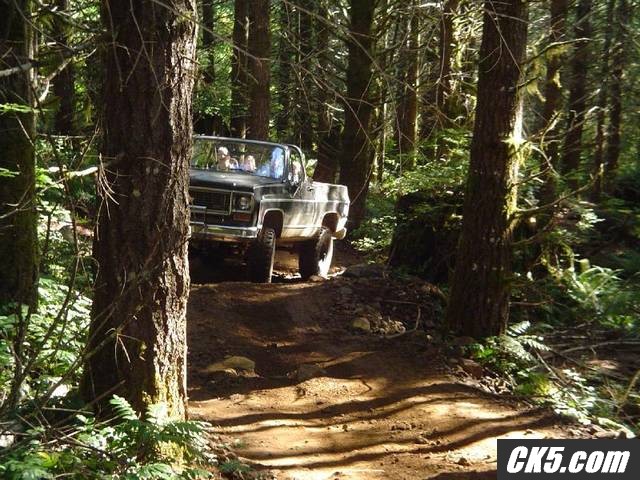 Through_the_woods1