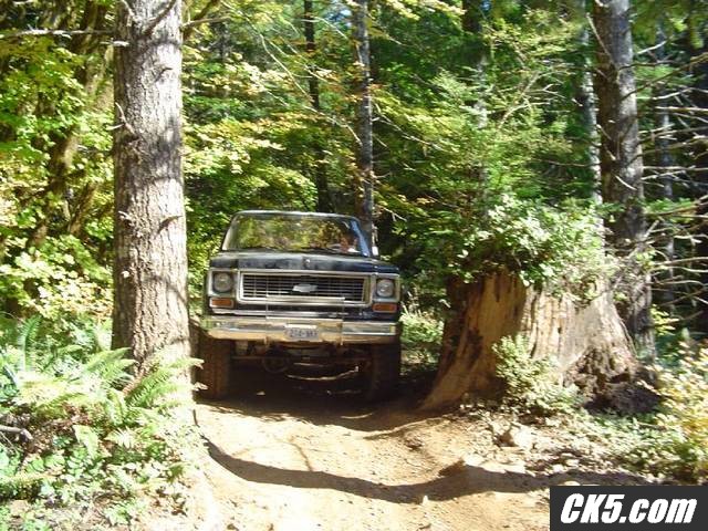 Through_the_woods2