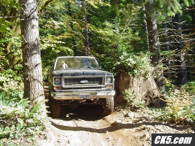 Through_the_woods3