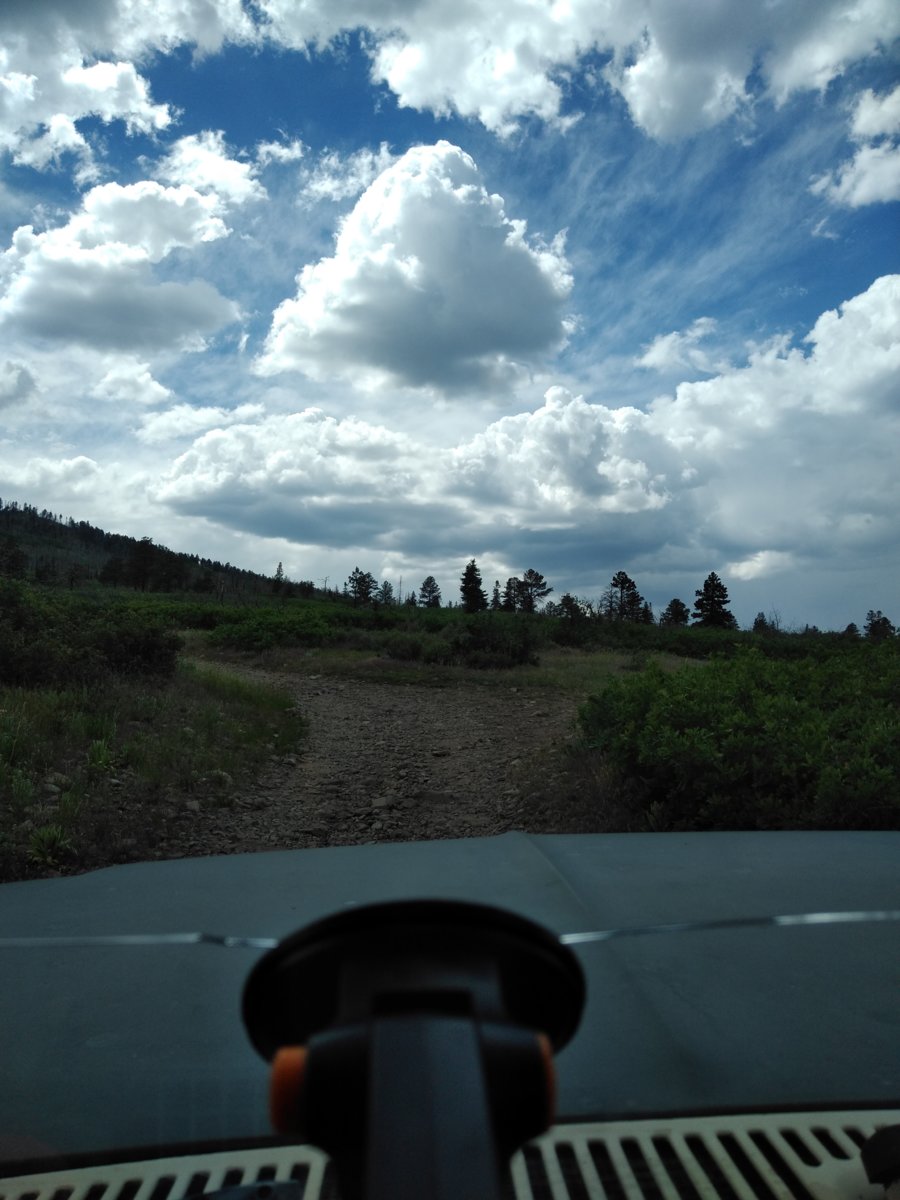 Trail strart