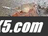 transfer_case_mar04