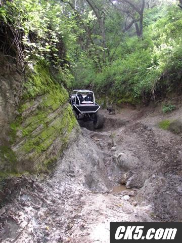 TT_busted_buggy_Small_