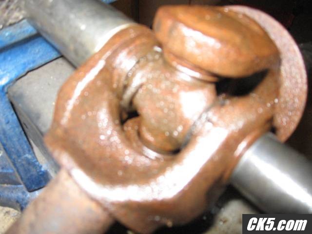 U-Joint