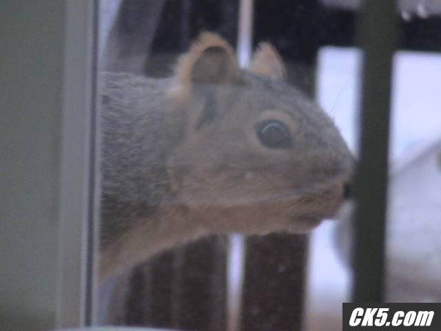 uhm_007