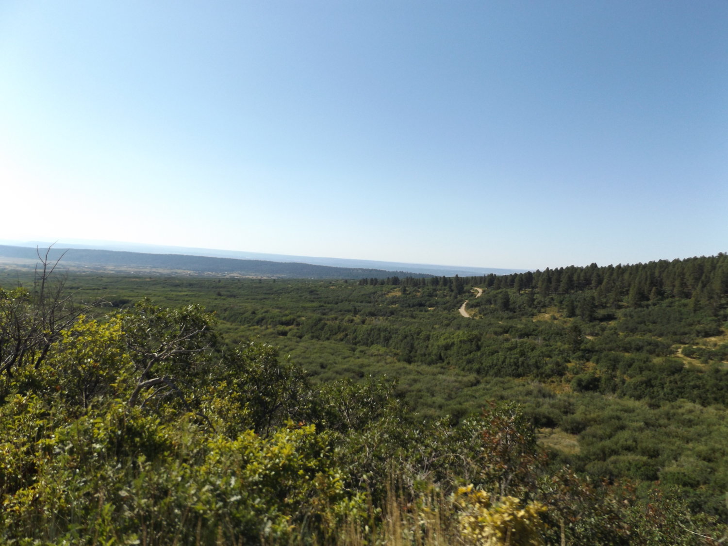 utah looking back to co