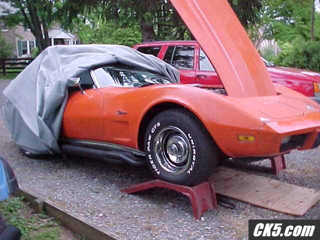 vette