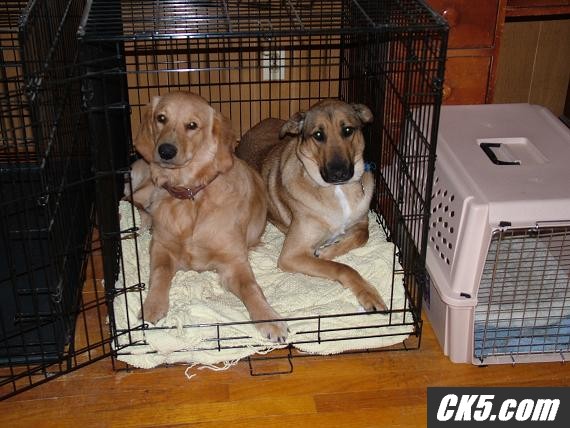 Vica_ebay_truck_011