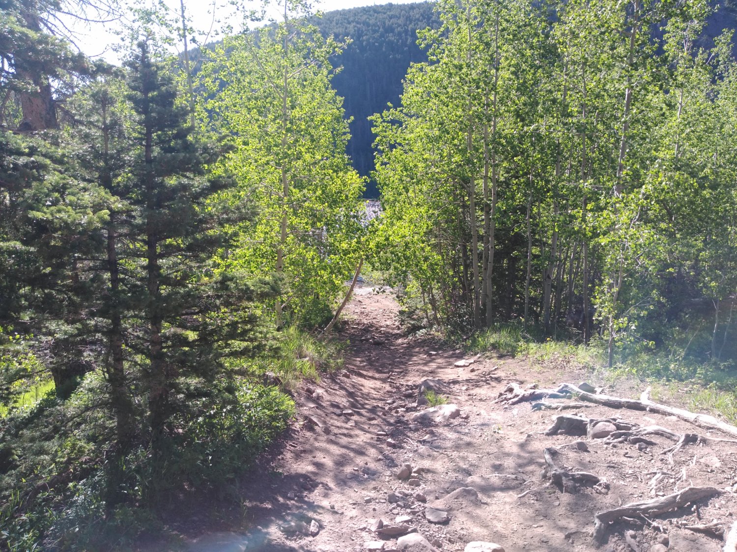 View to the lake
