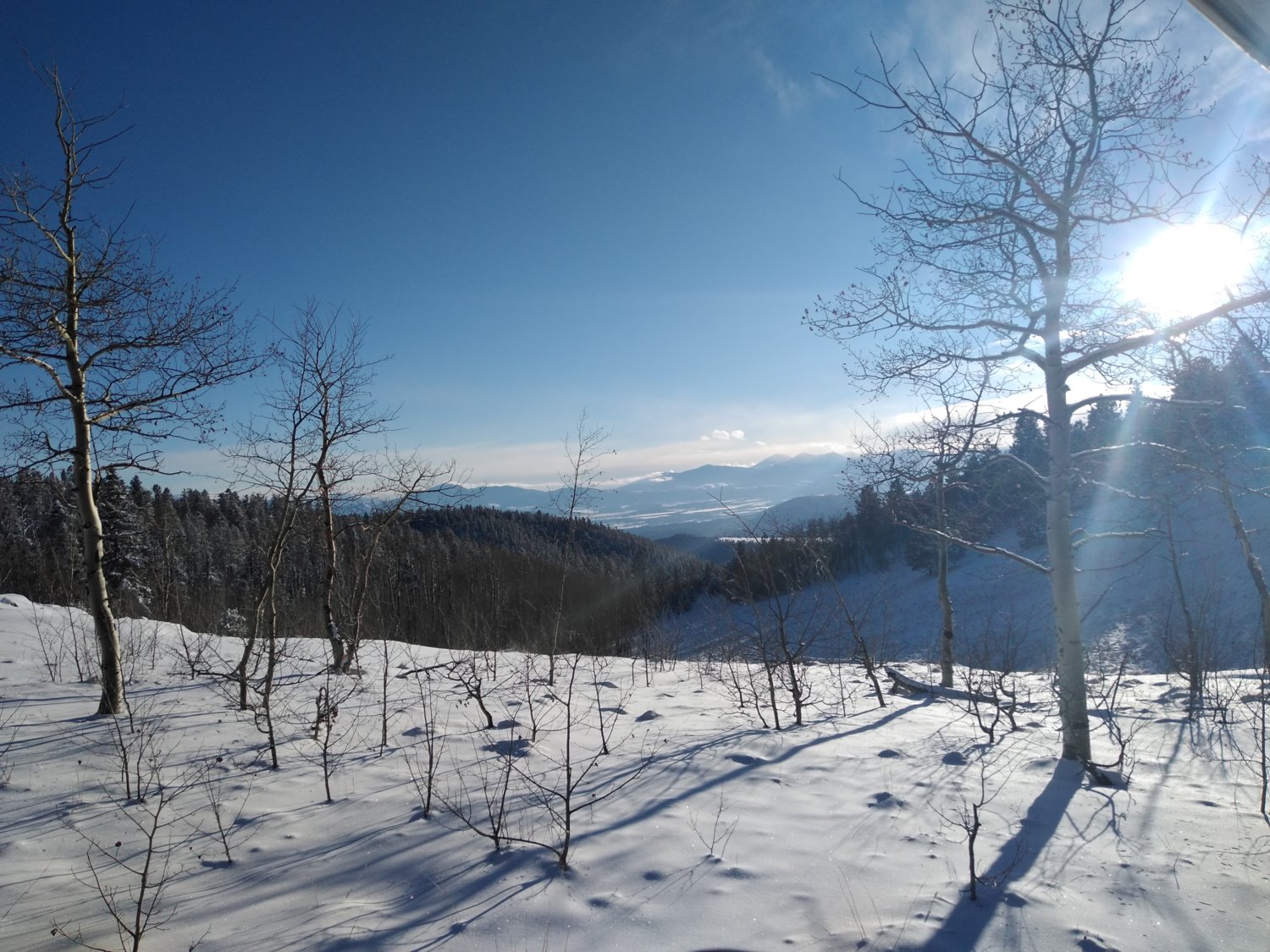 View