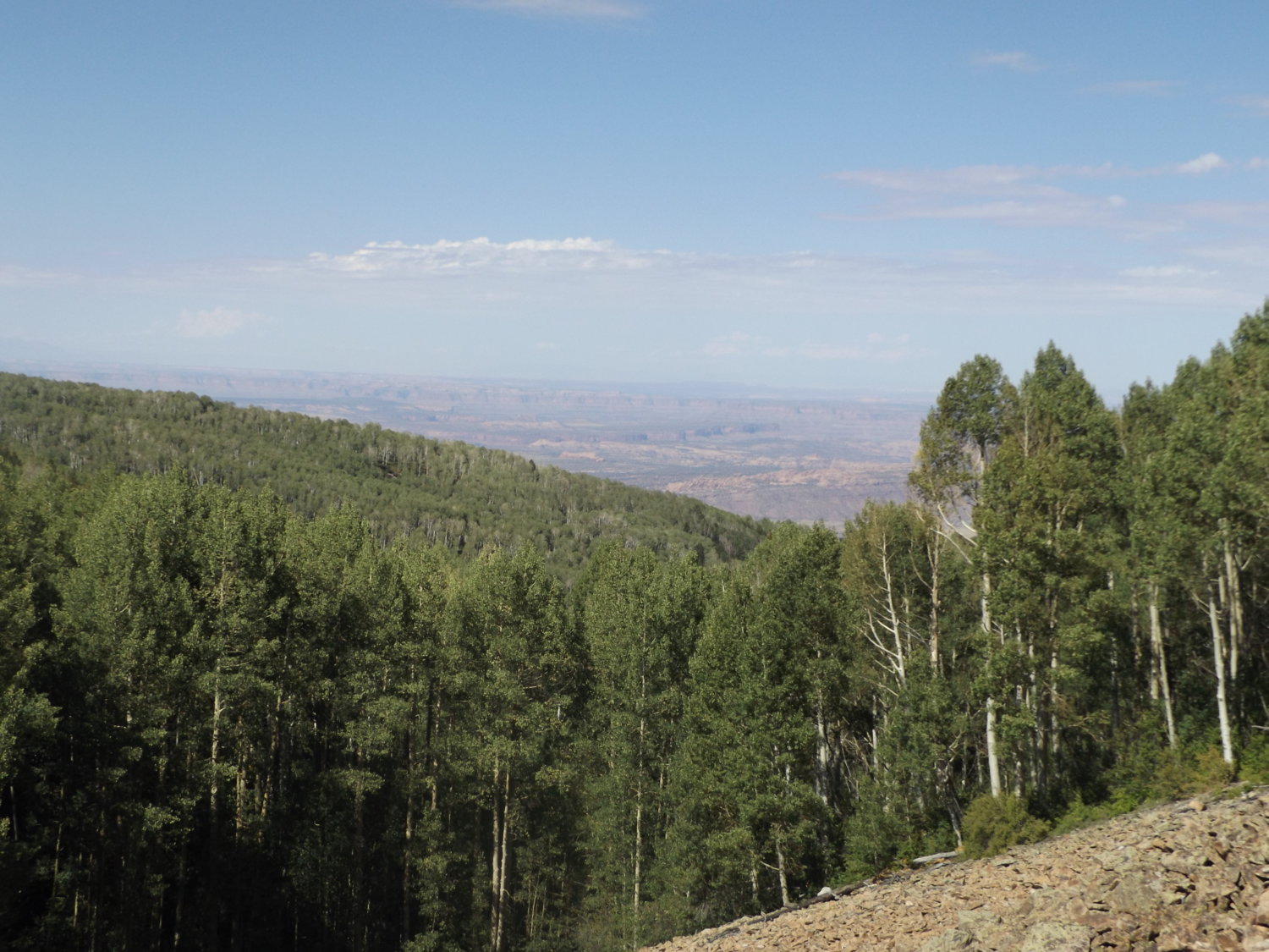 view
