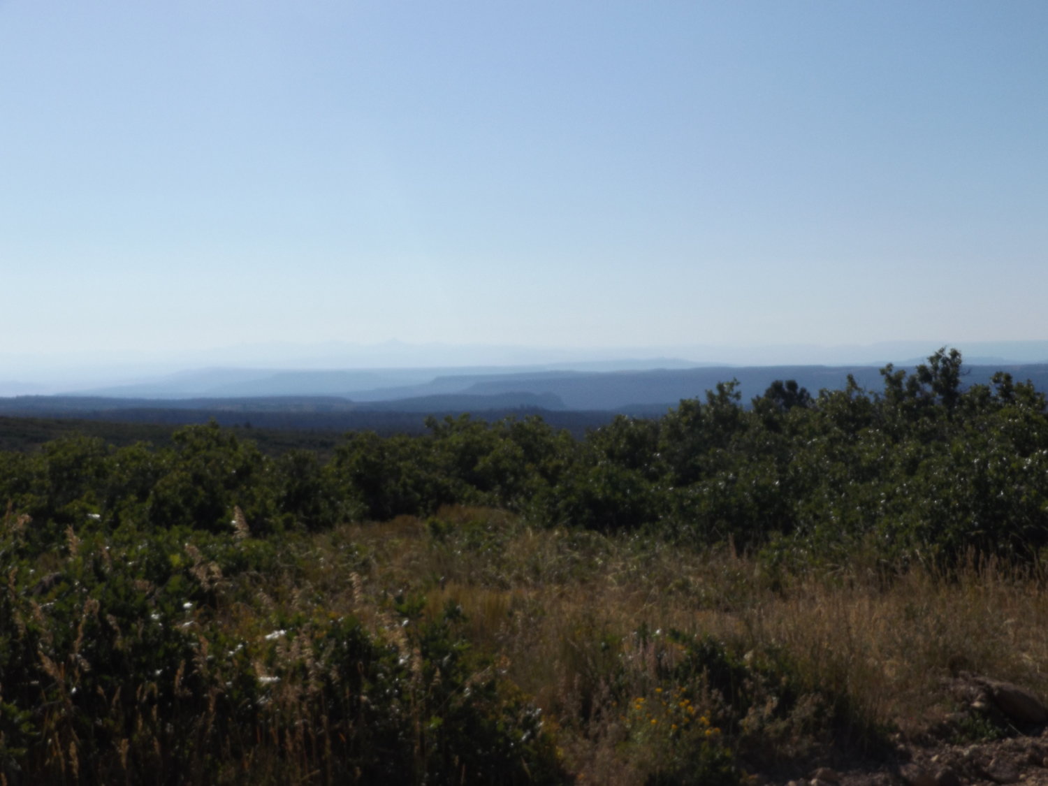 view