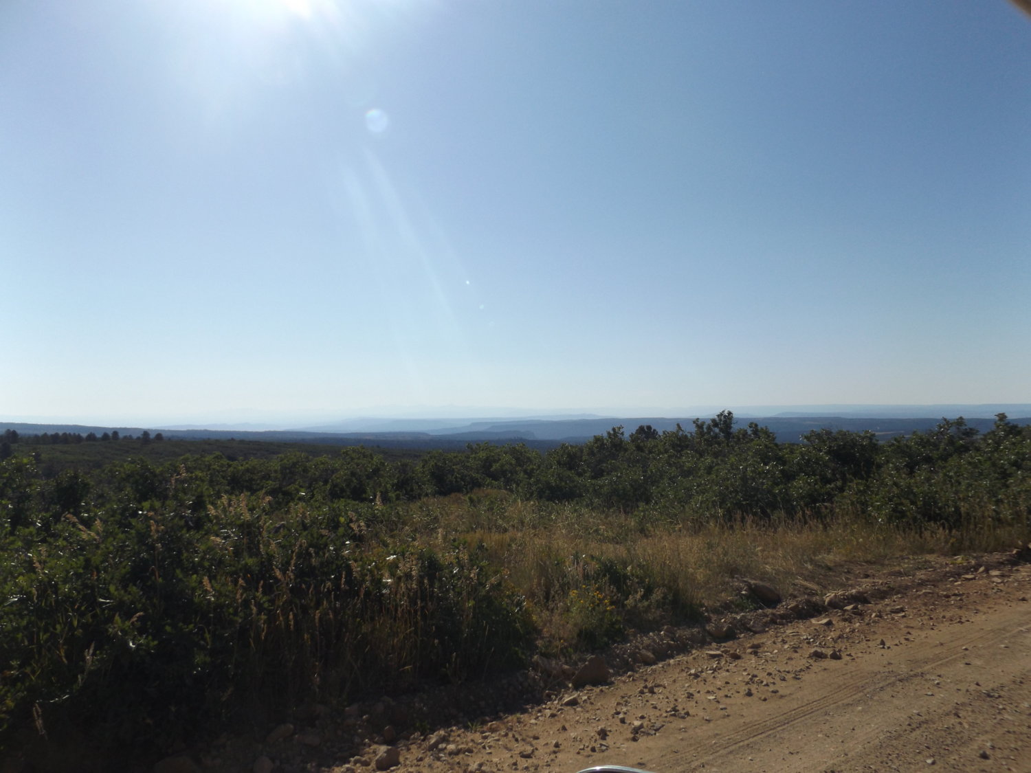 view