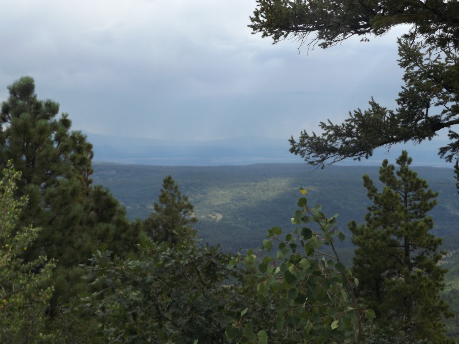 view